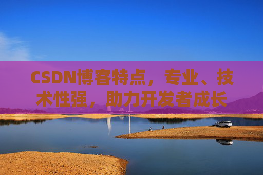 CSDN博客特点，专业、技术性强，助力开发者成长